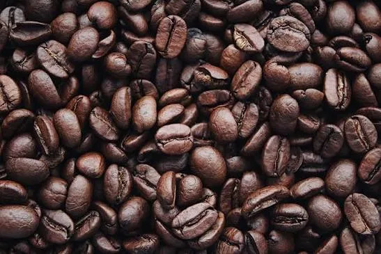Arabika dan Robusta