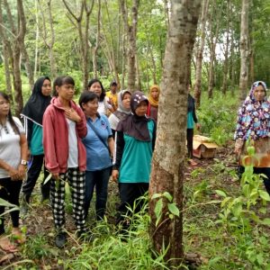 Panen langsung petani